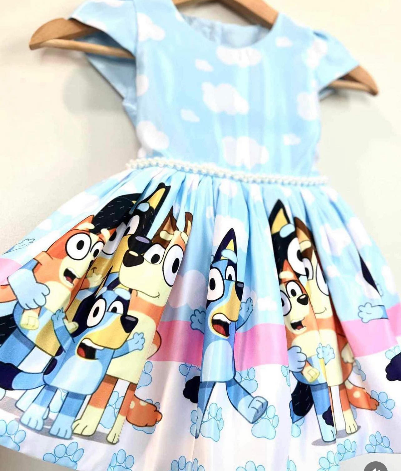 Bluey Deluxe Birthday Dress/ Toddler Dress