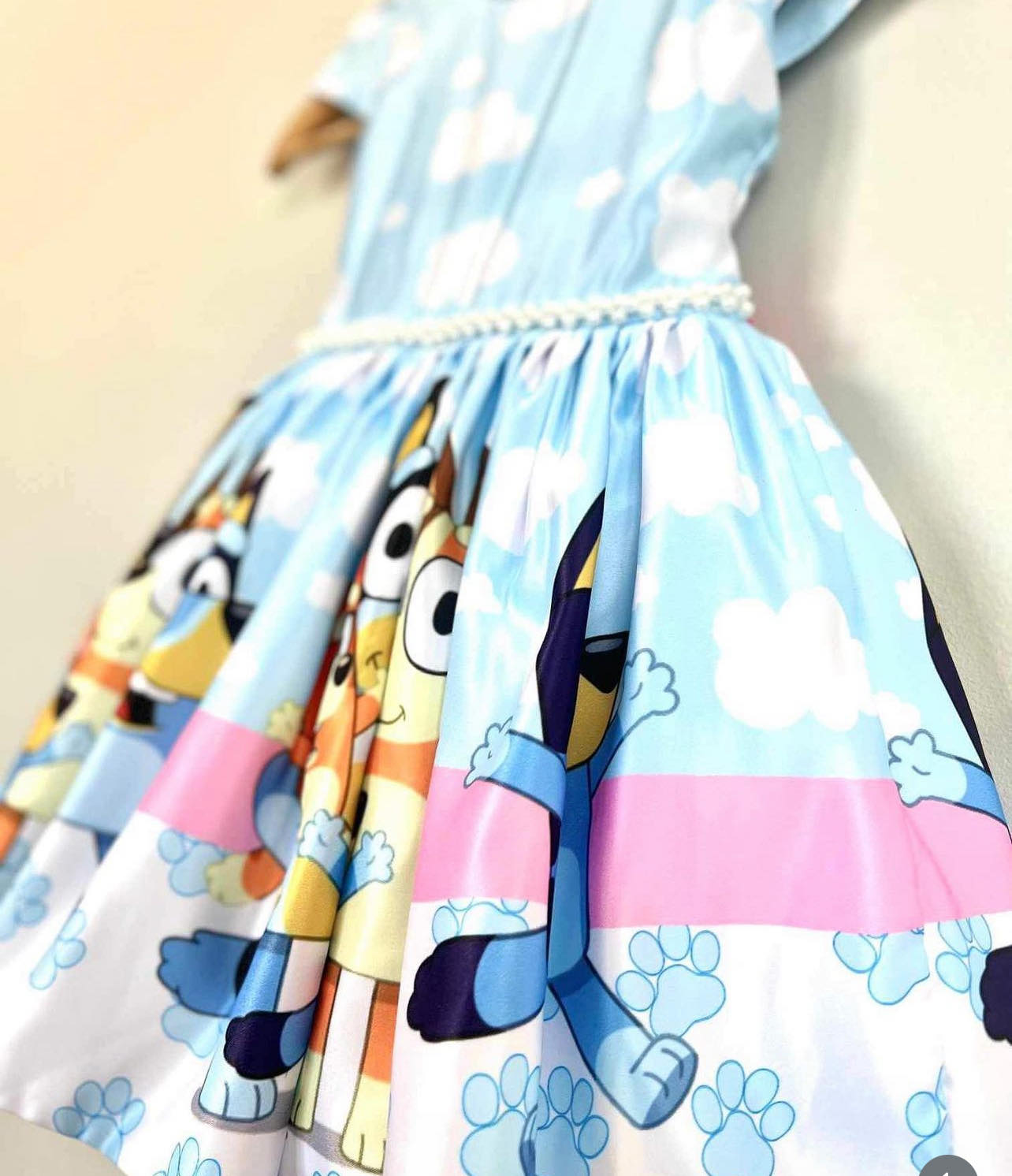 Bluey Deluxe Birthday Dress/ Toddler Dress